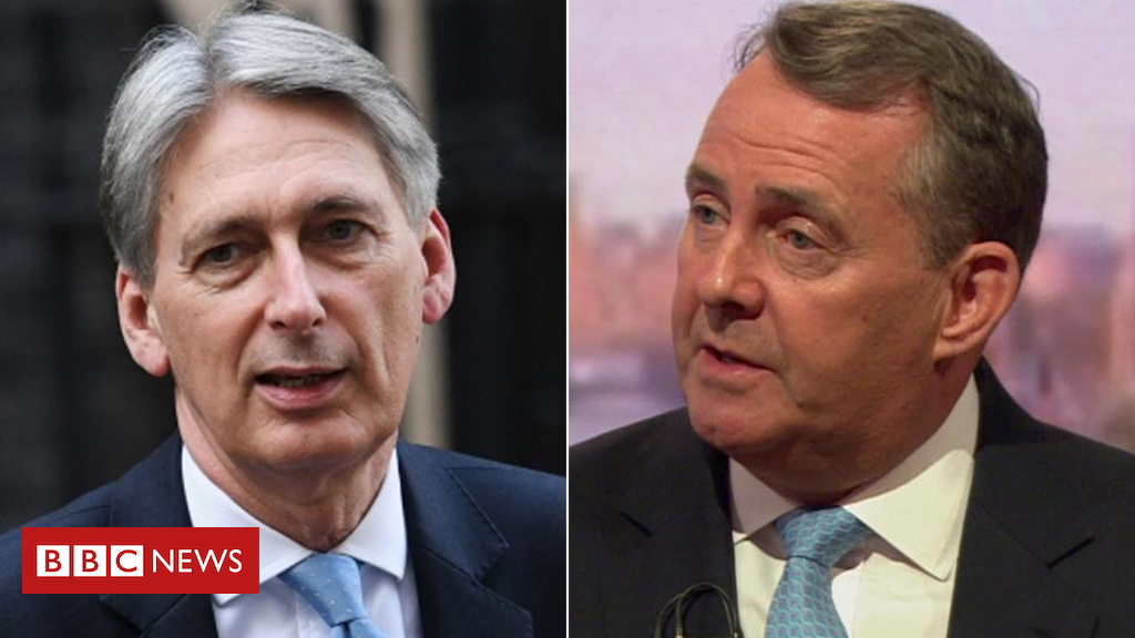 Brexit deal: Fox refuses to again Hammond's caution