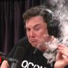 Elon Musk smokes marijuana live on web show