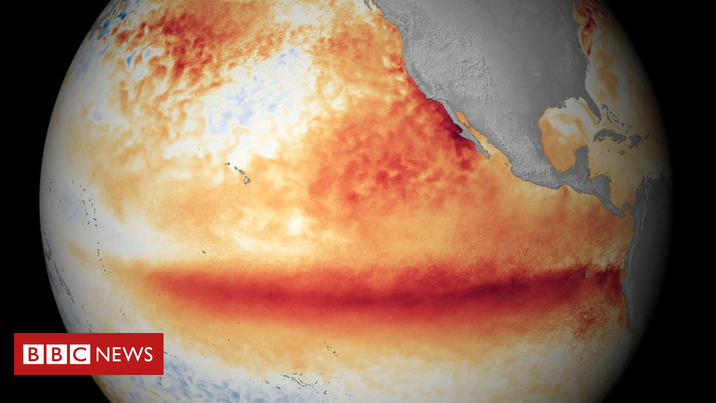 New El Niño climate experience most probably this wintry weather says WMO