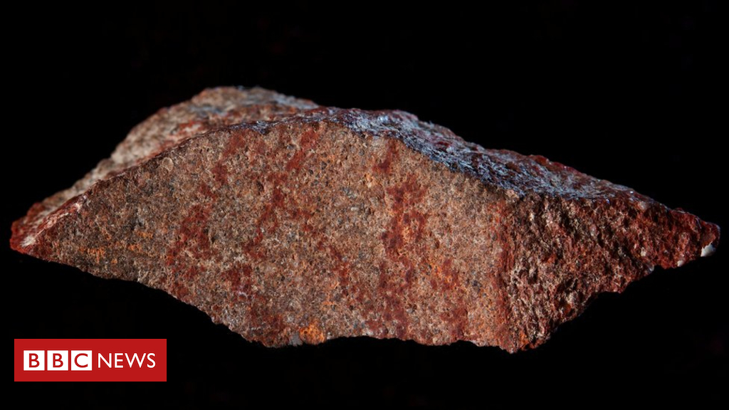 'Oldest known drawing' found on tiny rock in South Africa