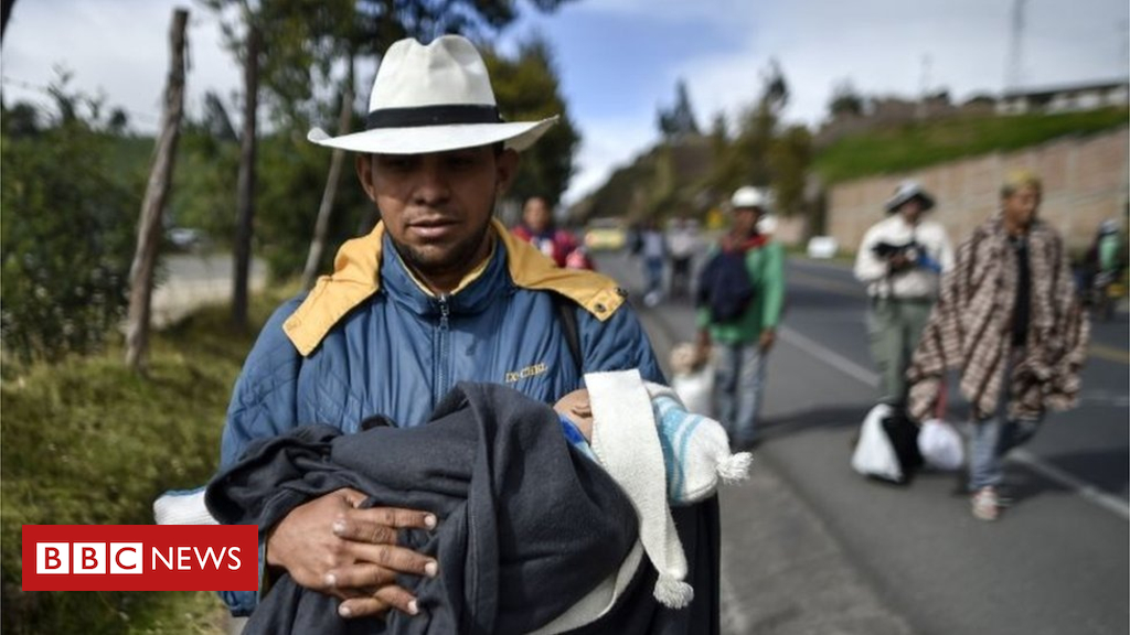 Venezuela Vice-President: Migration ranges are customary