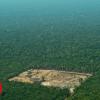 Amazon rainforest deforestation 'worst in 10 years', says Brazil