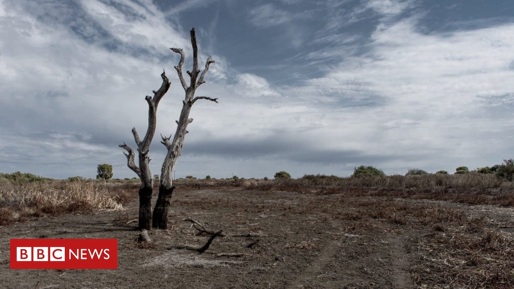 Australia drought: How so much rain may end 'the massive dry'?