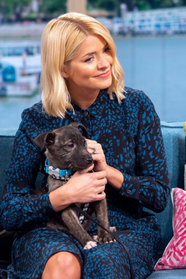 Holly Willoughby wows lovers on this stunning printed dress