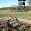 Holocaust: Dutch rail firm NS to pay families repayment