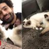 Mo Salah: Egypt footballer weighs in on cats and dogs row