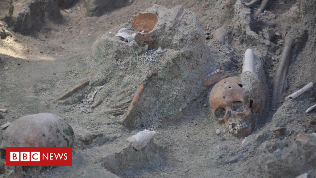 Sri Lanka mass graves: 230 skeletons discovered at country's biggest web page