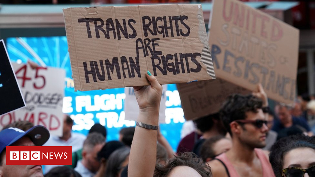 Trump asks US court docket for overview of transgender army ban
