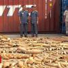 Cambodia makes document breaking ivory haul at port