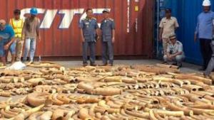 Cambodia makes document breaking ivory haul at port