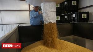 China buys US soybeans for first time when you consider that industry warfare