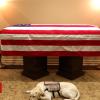 George HW Bush's carrier canine Sully can pay touching final tribute
