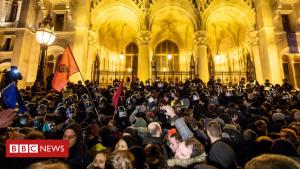 Hungary 'slave labour' regulation sparks protest on parliament steps