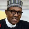 Nigerian President Buhari denies dying and frame double rumours