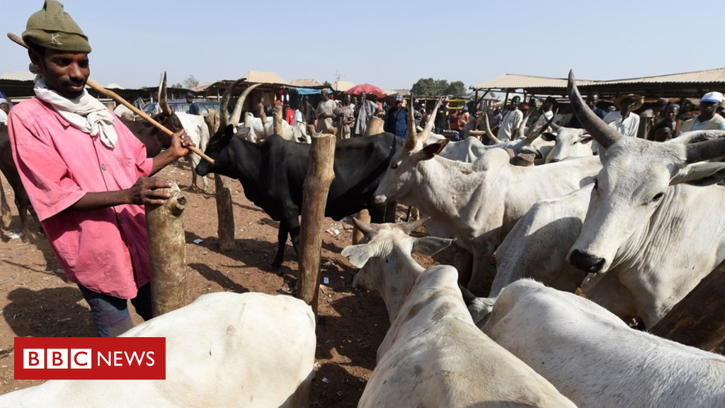 Pretend information and Nigeria's herder drawback