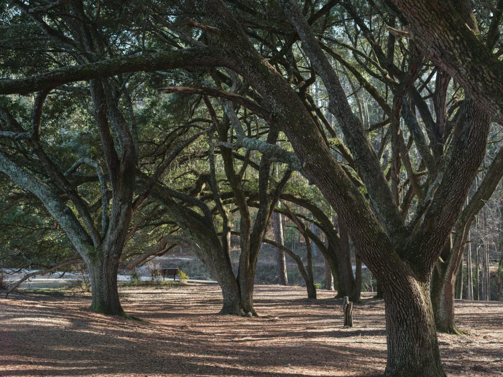 US and South Africa flags side-by-side, representing strained diplomatic relations.